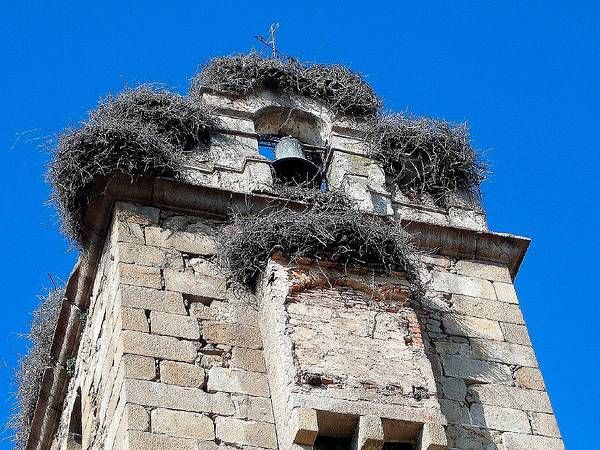 De las cigüeñas y chimeneas