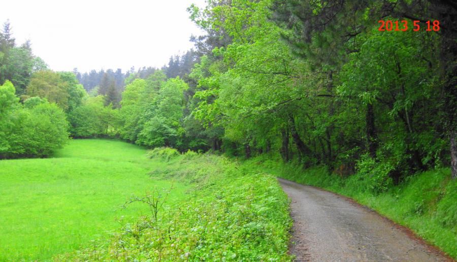 Parque Natural de Aizkorri y Camino de Santiago