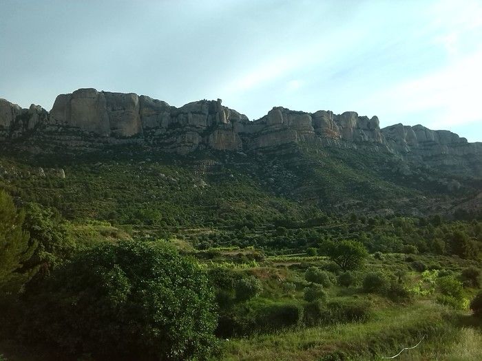 Camí dels Cartoixans (Cornudella-Albarca)