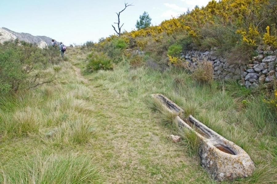 La Segaria de Benimeli - SL-CV109