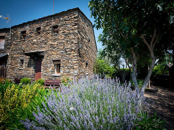 Casa Los Tres Olivos