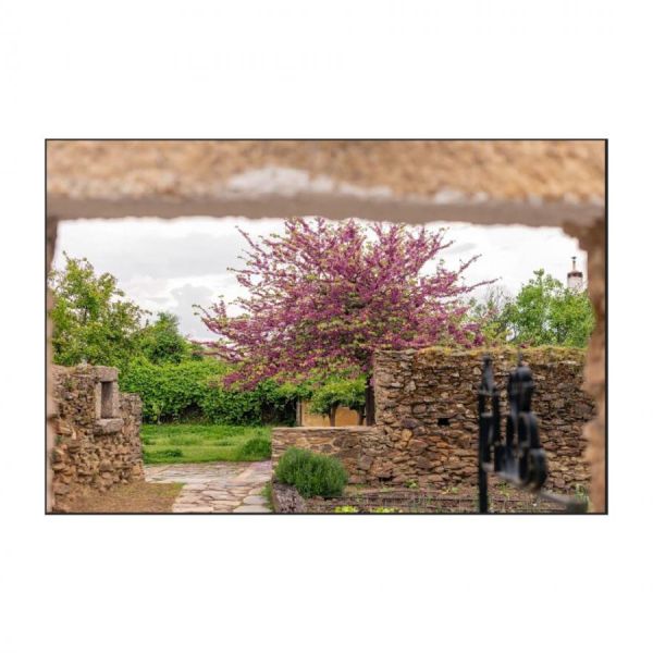 Finca El Azahar