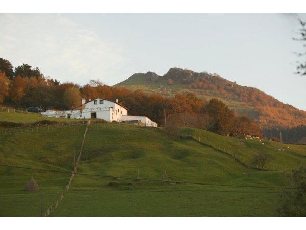 Montefrio