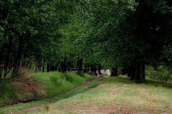 A. Rural Vallebueno