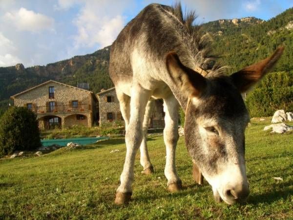 Masia Can Puigventós