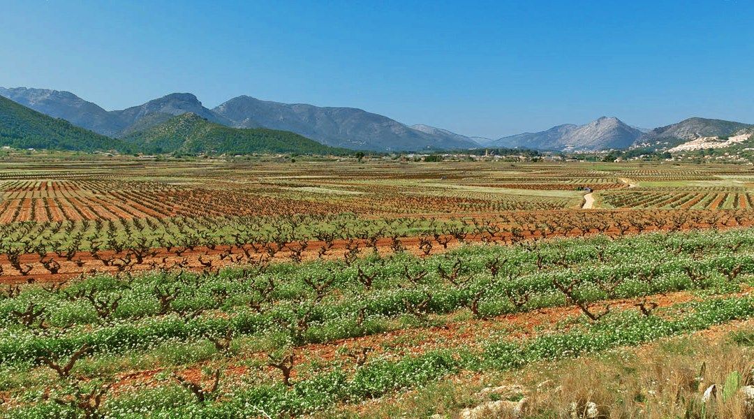Travesia por La Vall de Pop