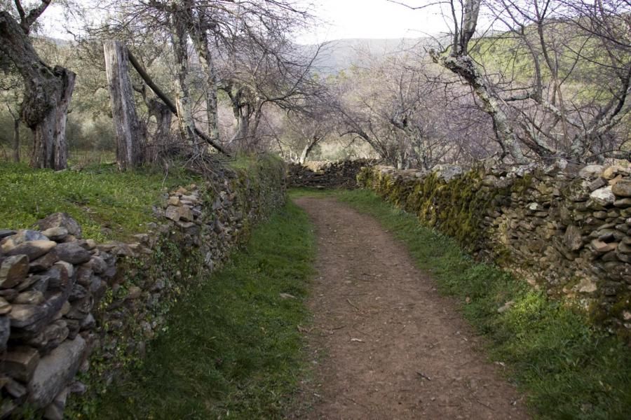 Despoblado del Moral