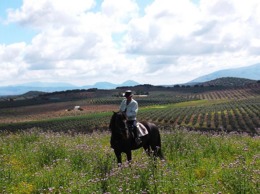 Salinas - Pantano de Iznájar