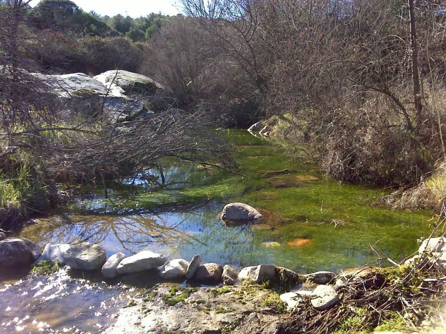 Senderismo por Cebreros