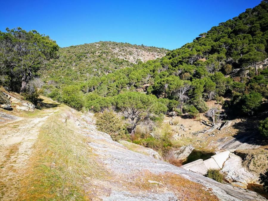 Senderismo por Cebreros