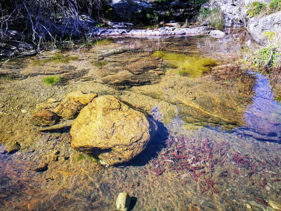 Senderismo por Cebreros