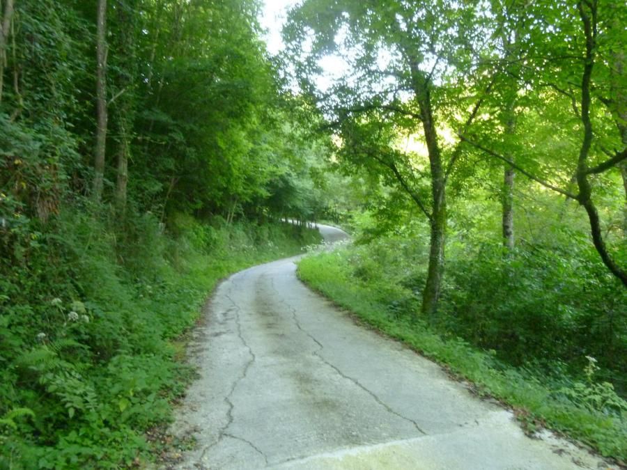 Parque Natural de Aizkorri y Camino de Santiago