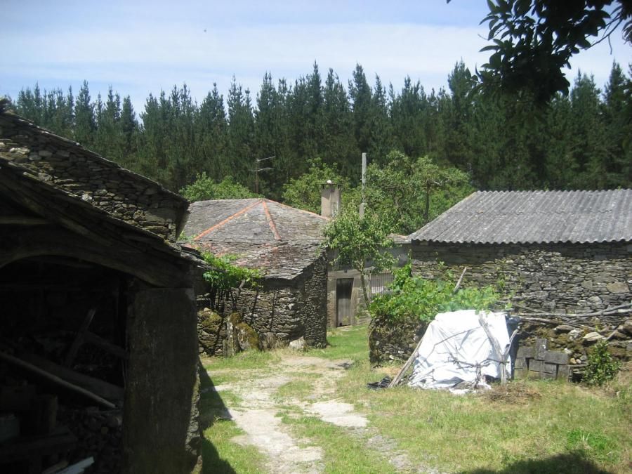 Camino de Santiago (Sarria-Portomarin)