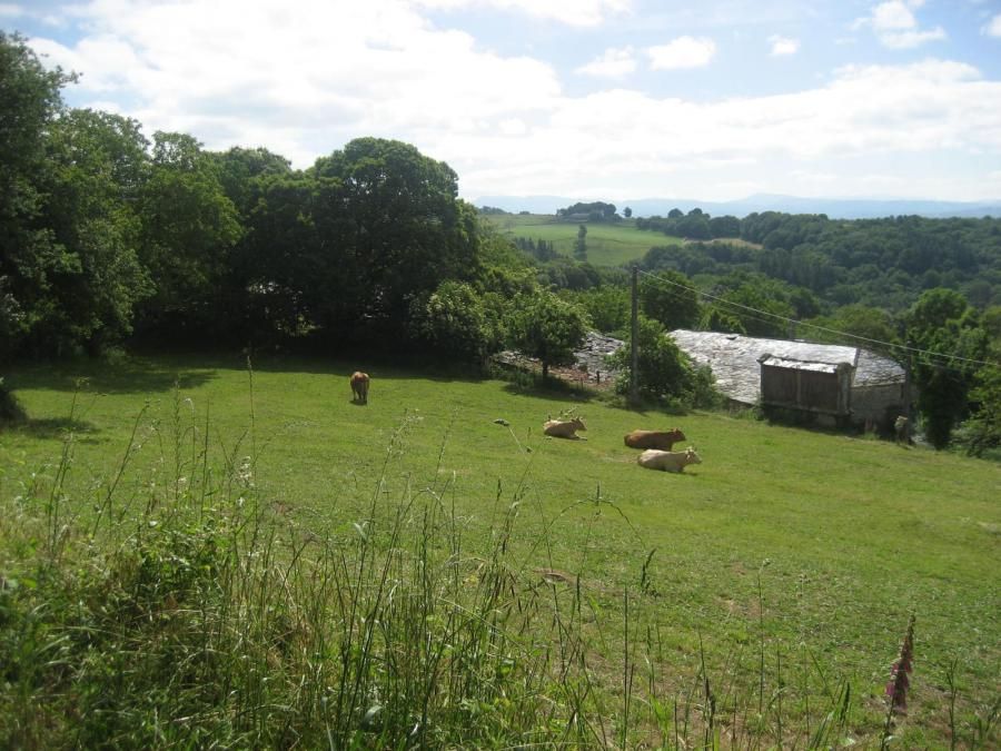 Camino de Santiago (Sarria-Portomarin)