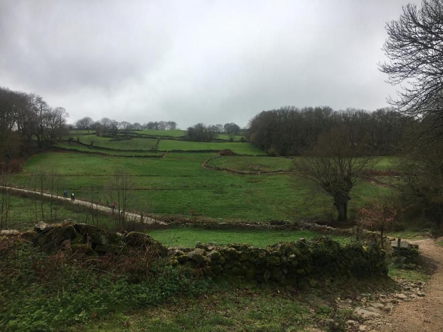 Camino de Santiago (Sarria-Portomarin)