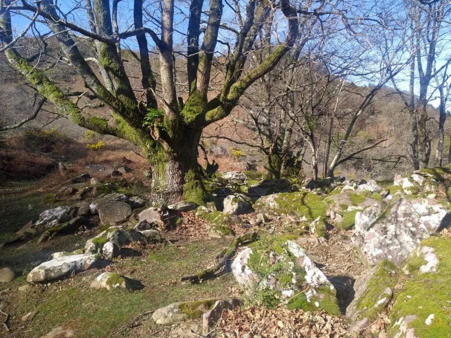 Subida al Monte Atxuria