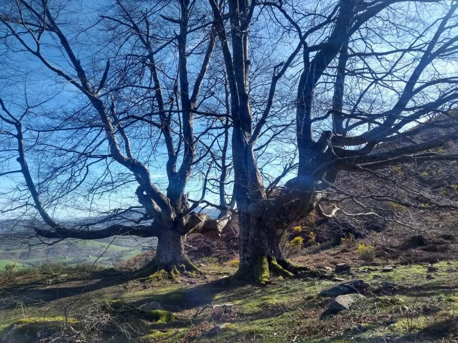 Subida al Monte Atxuria