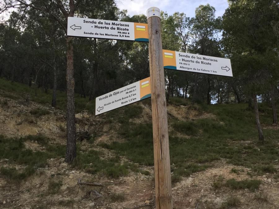 Ruta por el Valle de Ricote