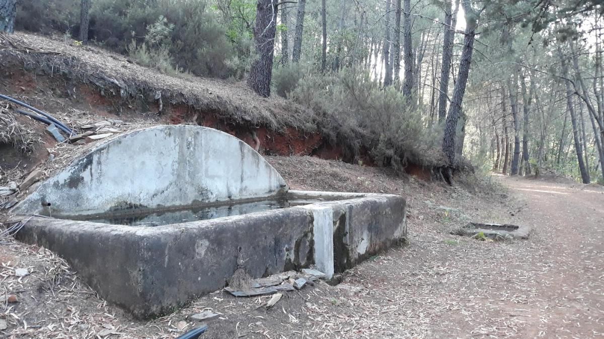 Puente de Los Machos