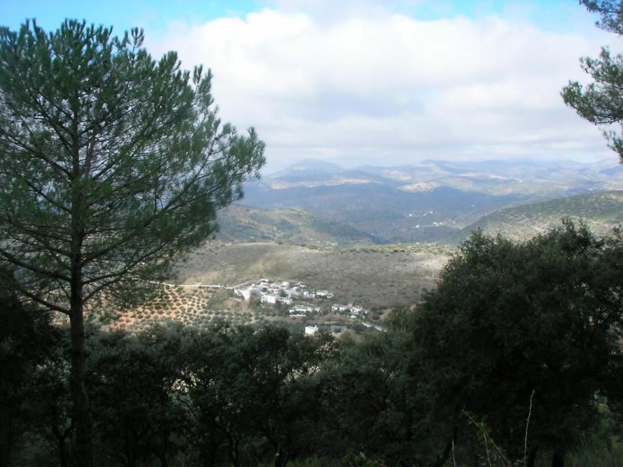 Sierra Tiñosa entre Rute - Priego de Córdoba 