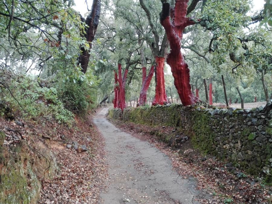 Alájar - Linares De La Sierra