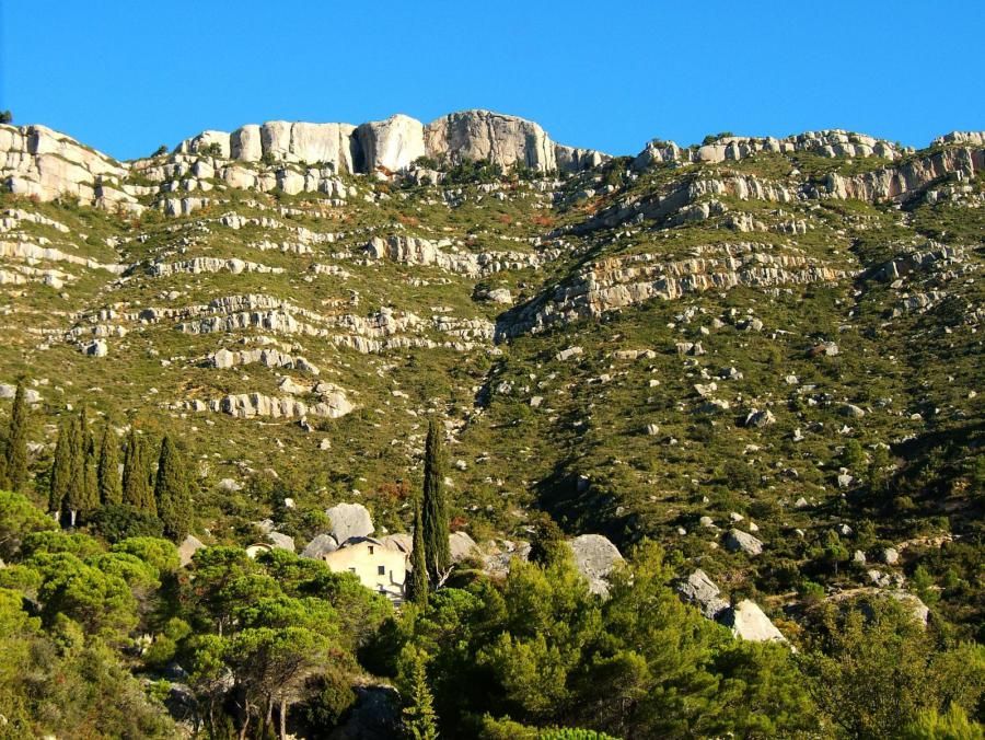 Camí dels Cartoixans (Cornudella-Albarca)