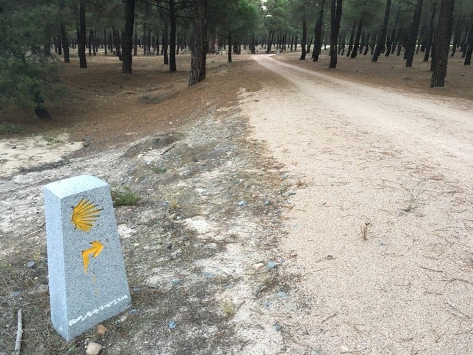 Camino de Santiago por la Campiña Segoviana