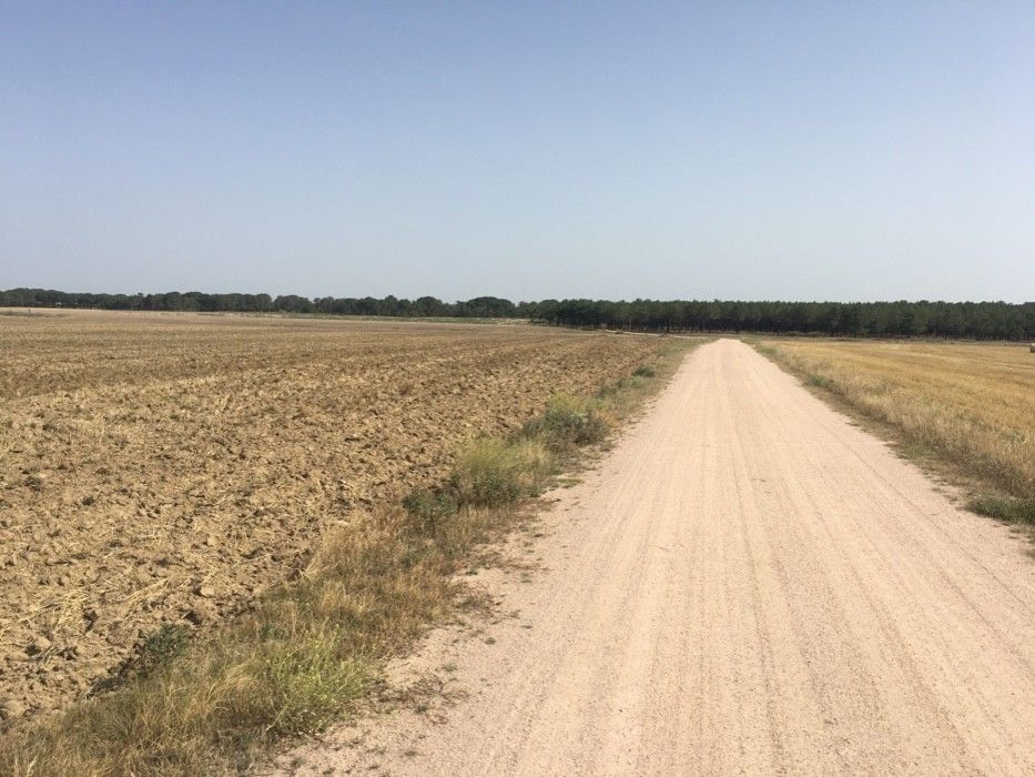 Camino de Santiago por la Campiña Segoviana