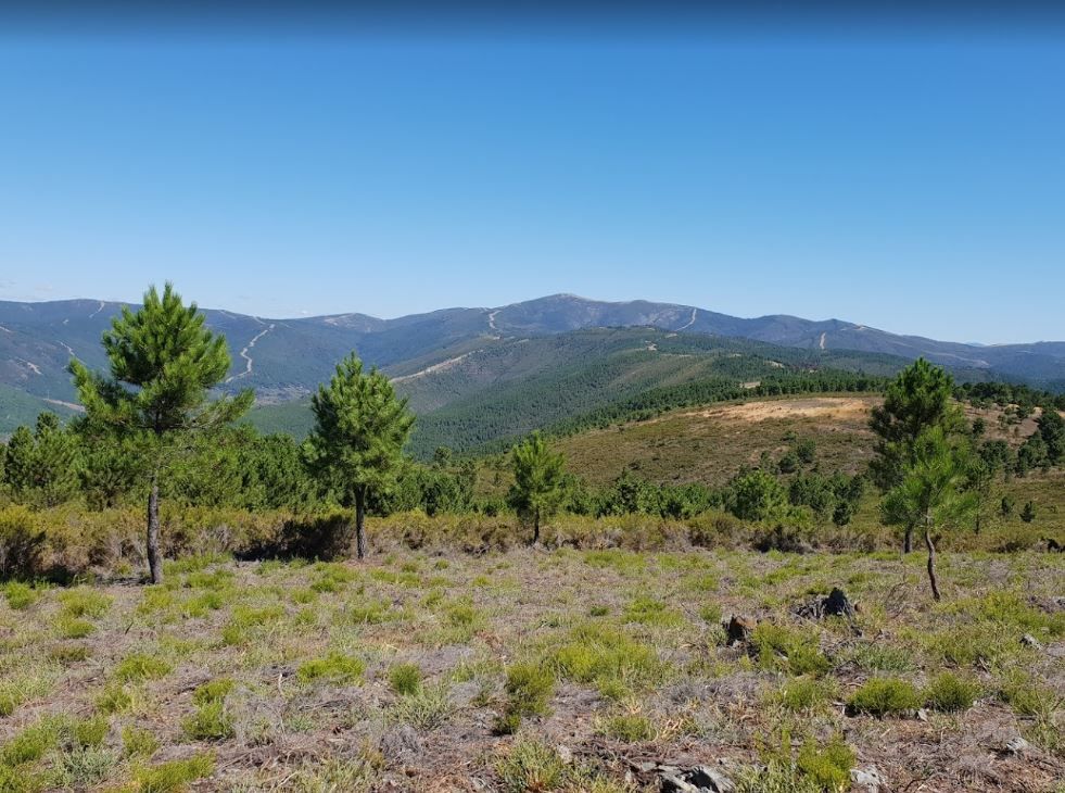 Observatorio de Aves en Las Hurdes