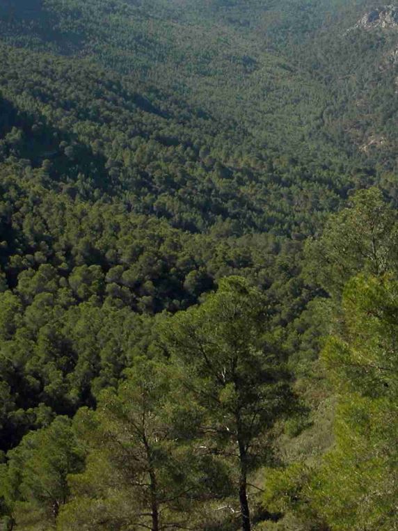 Ruta por el Valle de Ricote