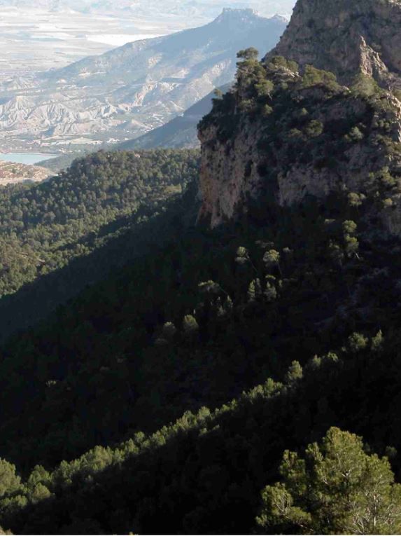 Ruta por el Valle de Ricote