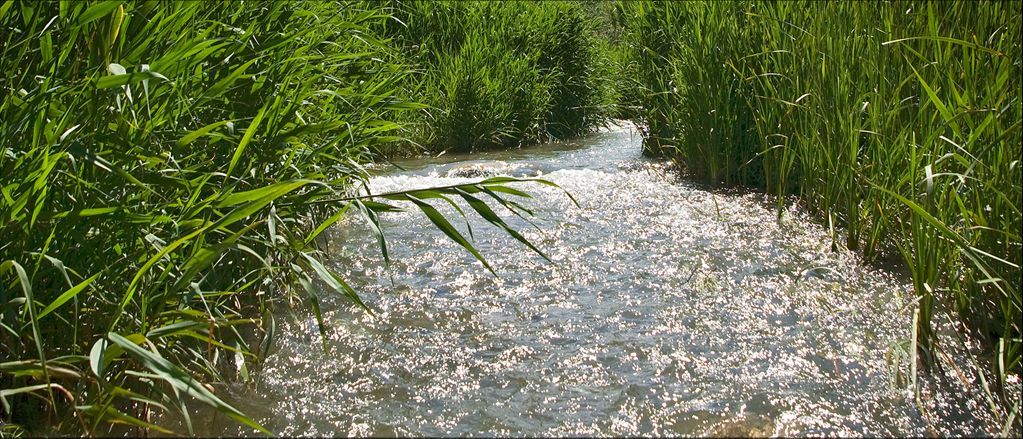 Riberas del Palancia