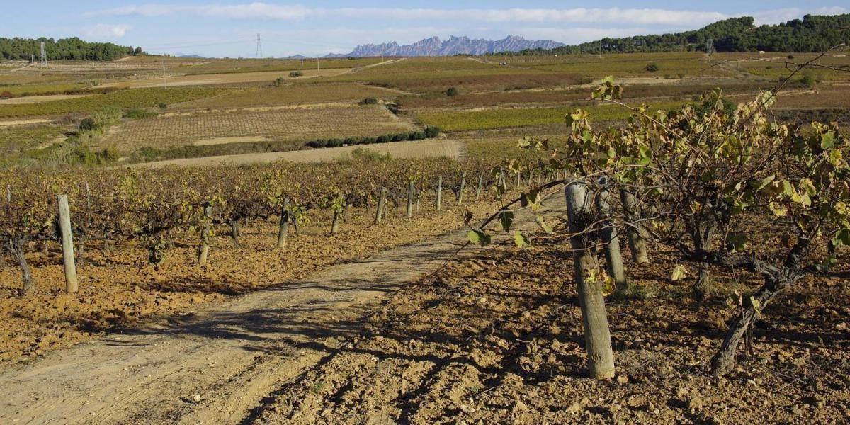 St. Sebastià Dels Gorgs - Cantallops - Avinyonet Del Penedès