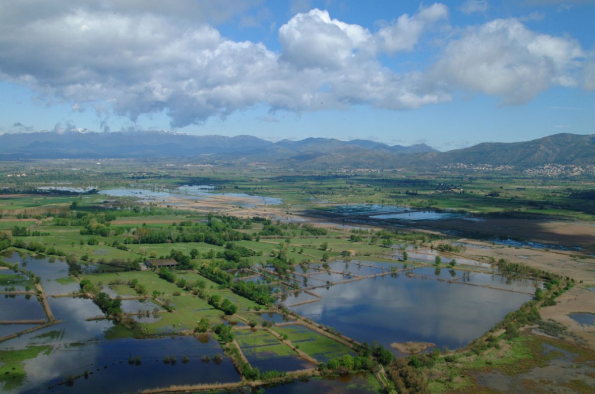 Visita al Parque Natural de Els Aiguamolls de l'Empordà