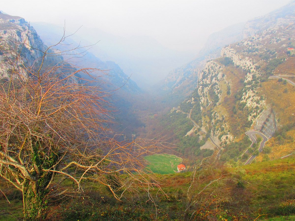 Parque Natural Collados del Asón