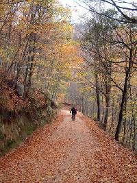 La Cortina , Els Graners , Can Pas , Els Buxaus