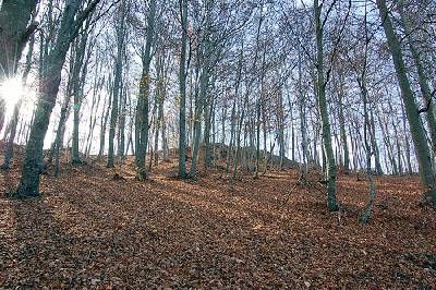 La Cortina , Els Graners , Can Pas , Els Buxaus