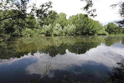 Ruta Del Río Ter