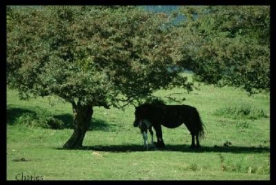 Cruz del Gorbea a través de Itxina
