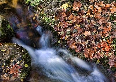 La Cortina , Els Graners , Can Pas , Els Buxaus