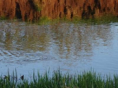 A pie a Villar del Ala