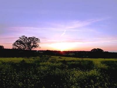 Itinerario Los Arribes del Duero desde Zamora