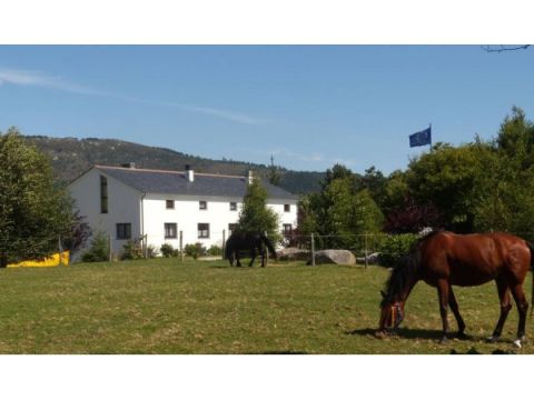 La Solana - Posada De Caballos