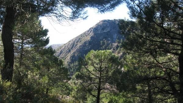 Las Cuevas
