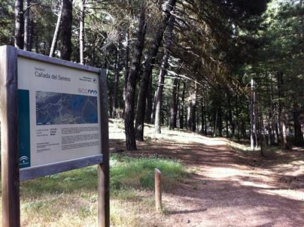 Las Cuevas
