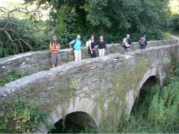 El Camino de Santiago organizado