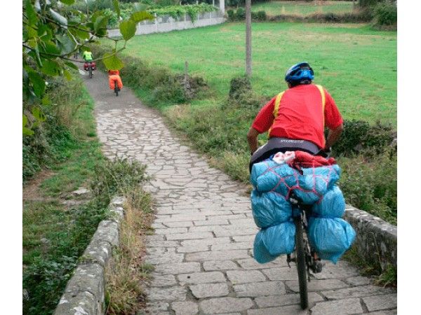 El Camino de Santiago organizado