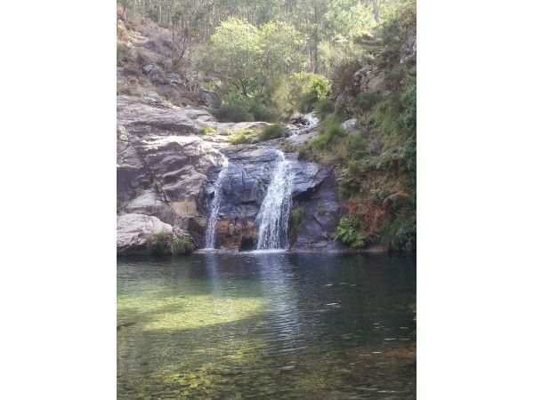 Ruta Dos Petroglifos