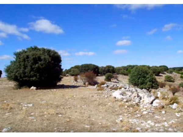 Ruta de la Pared del Castro