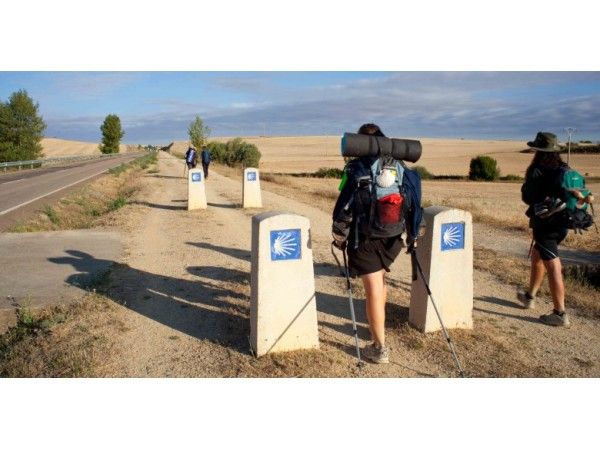 El Camino de Santiago organizado